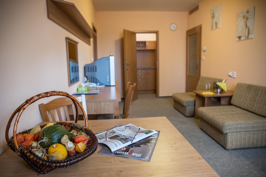 Hotel Na Jizni Prerov Room photo